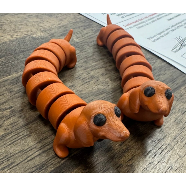Hareketli Köpek