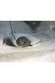 BMW Z4 (E85 +E86) için jant kapağı klipsi BMW Z4 (E85 +E86) için jant kapağı klipsi
